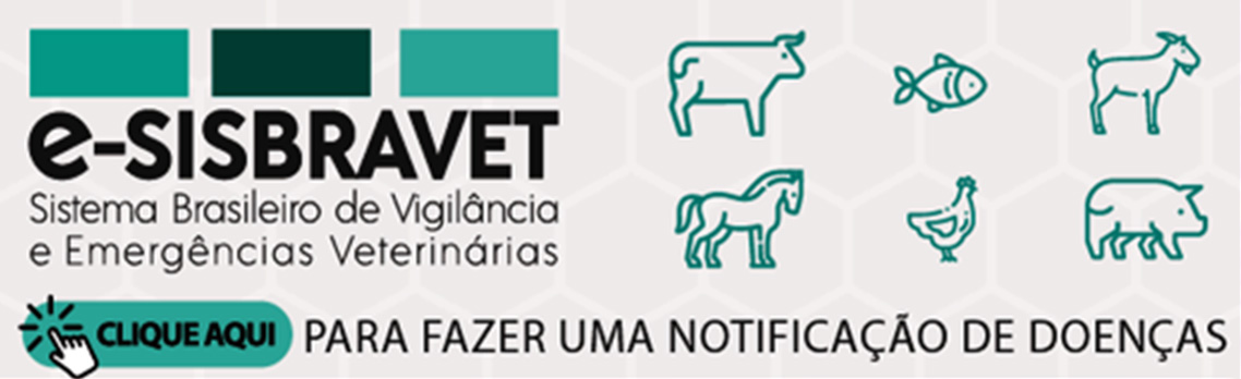 SISBRAVET